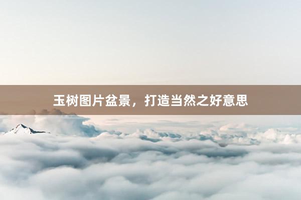 玉树图片盆景，打造当然之好意思