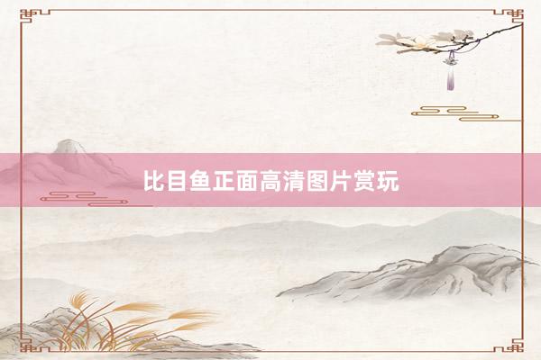 比目鱼正面高清图片赏玩